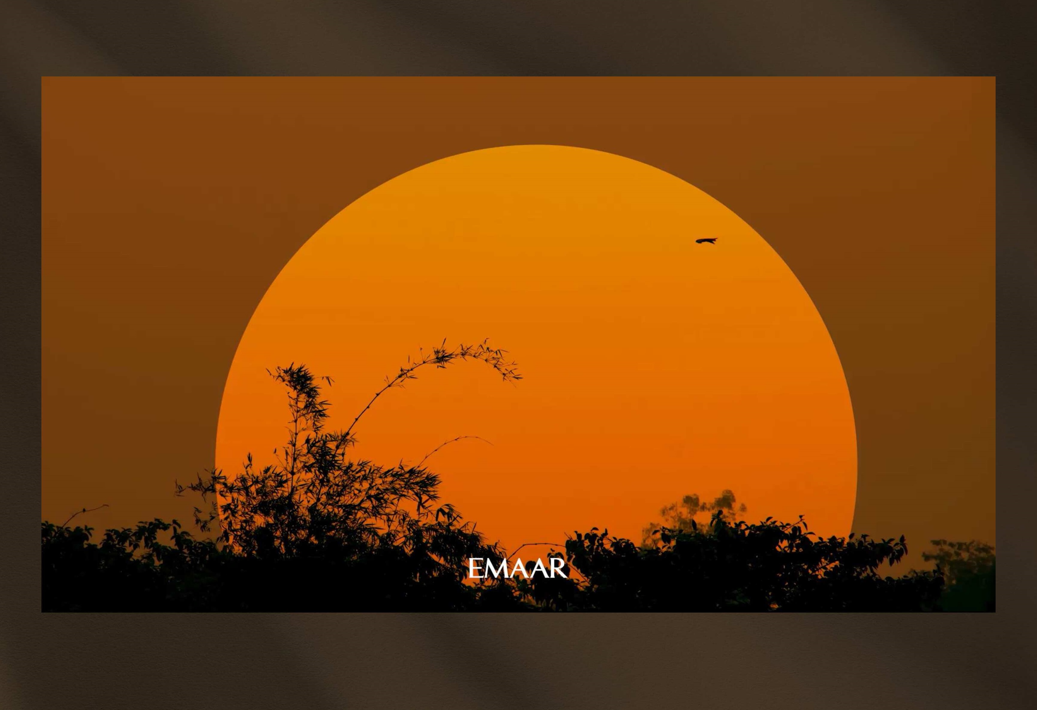 إعمار - اكويسترا جراند بولو