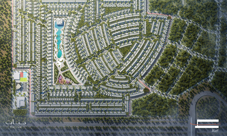 حيان